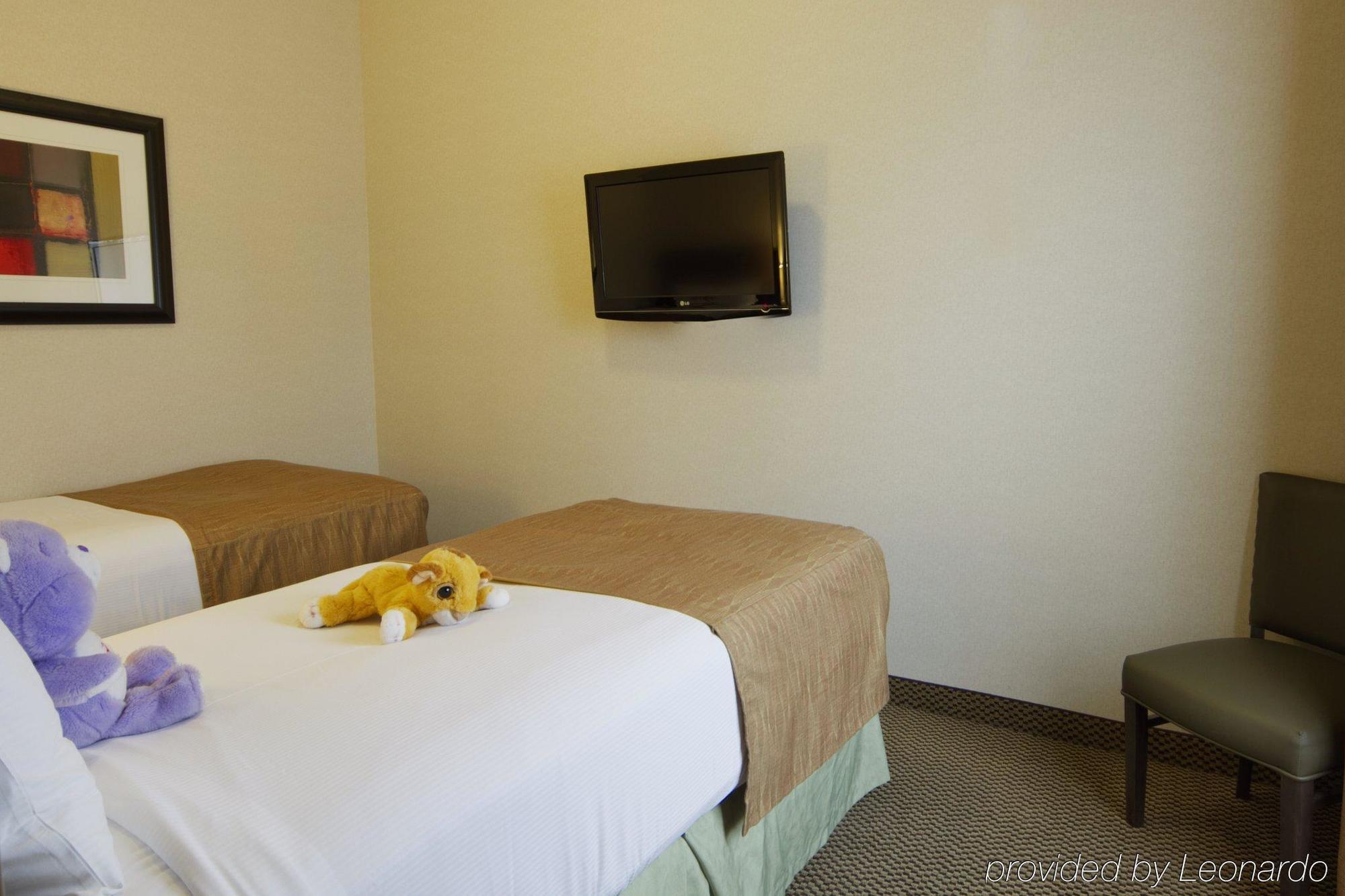 Best Western Wainwright Inn & Suites Room photo