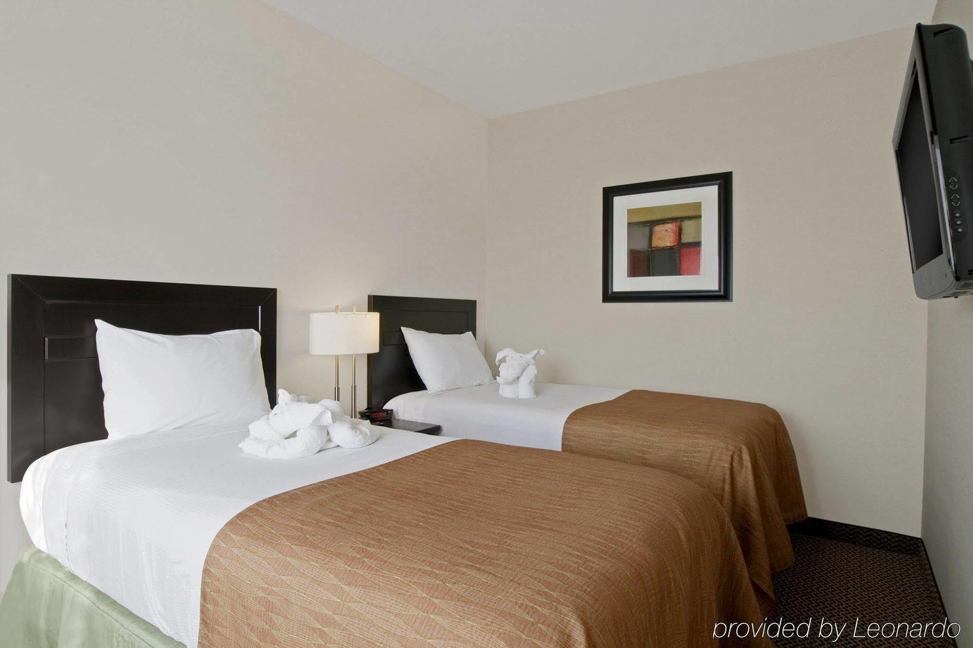 Best Western Wainwright Inn & Suites Room photo