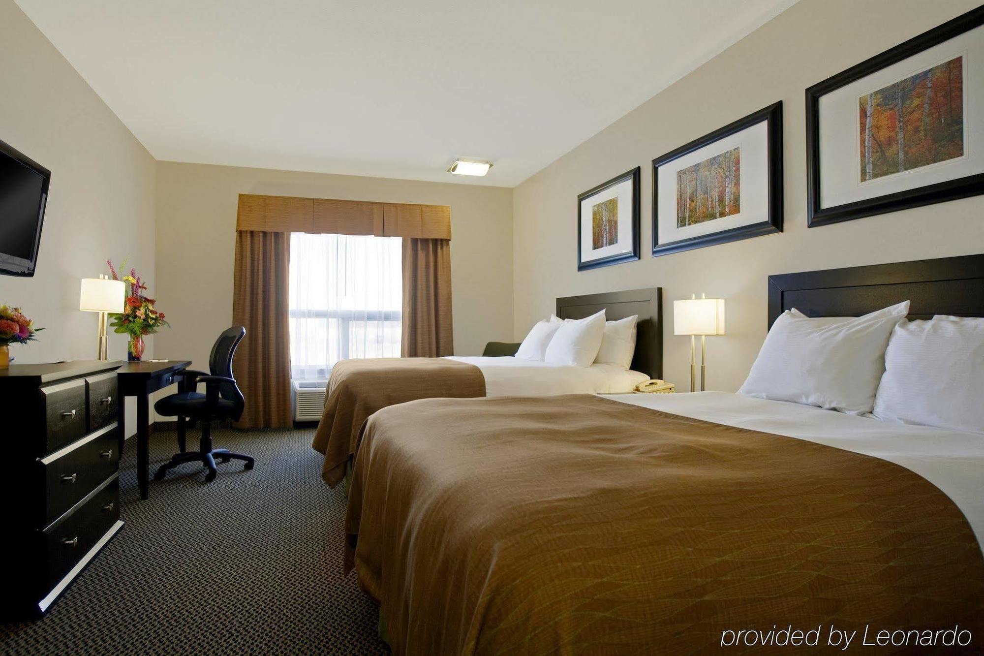 Best Western Wainwright Inn & Suites Room photo
